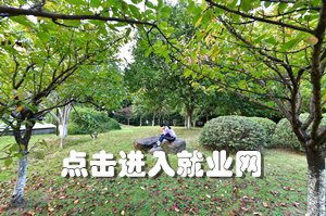 0571-86910710 邮箱