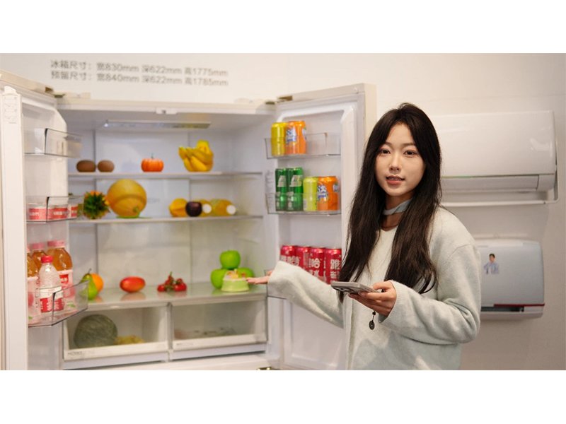 开云(kaiyun)体验app官