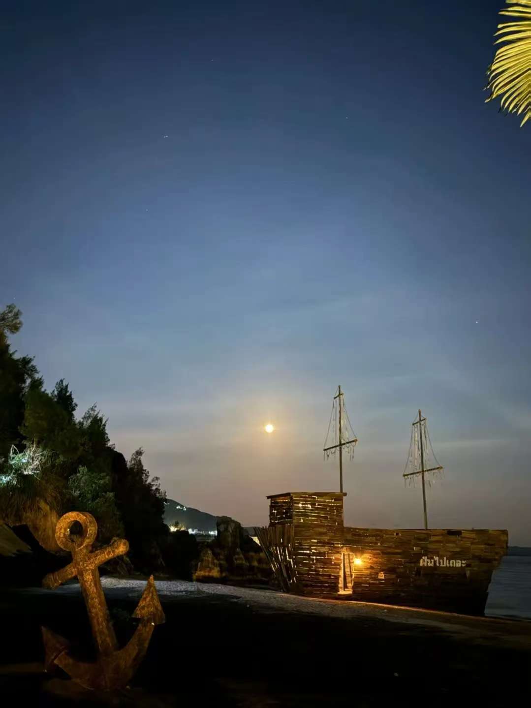 摄影:24应计A崔婷钰